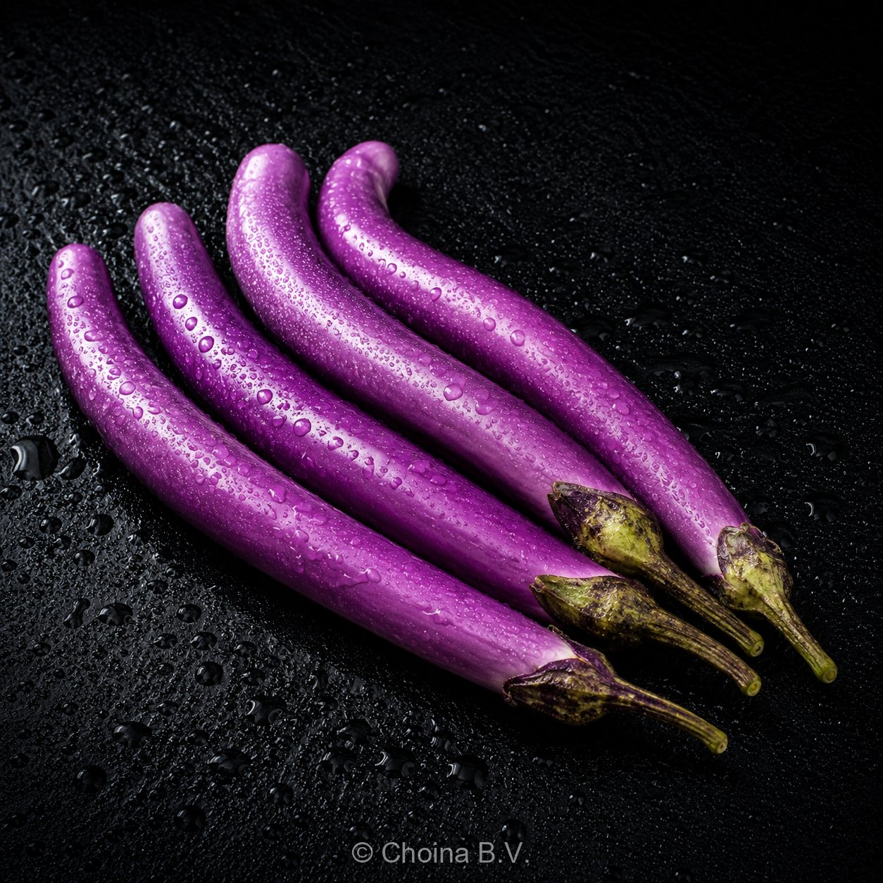 中国茄子（Chinese Aubergine）荷兰批发| Choina B.V.